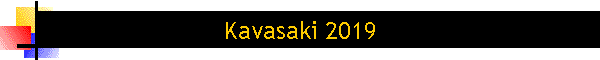 Kavasaki 2019